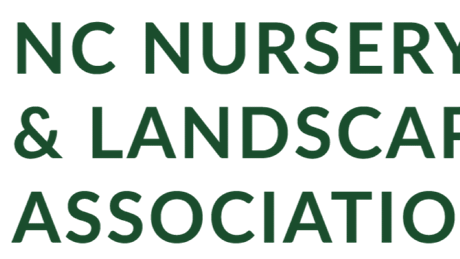 Group Banner Picture